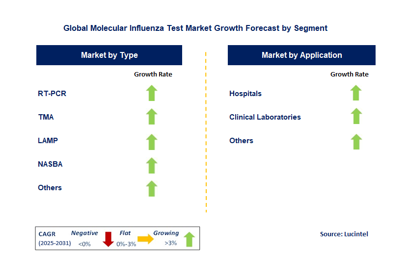 Molecular Influenza Test Market by Segment