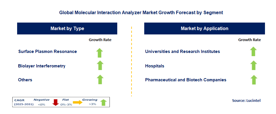 Molecular Interaction Analyzer Market by Segment