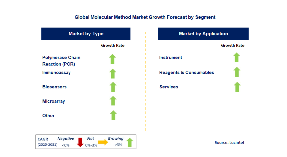 Molecular Method Market by Segment