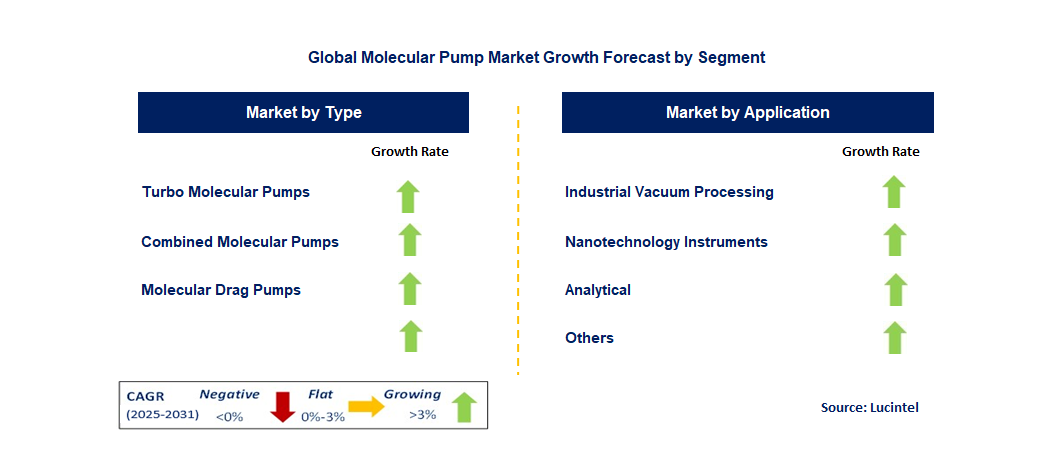 Molecular Pump Market by Segment