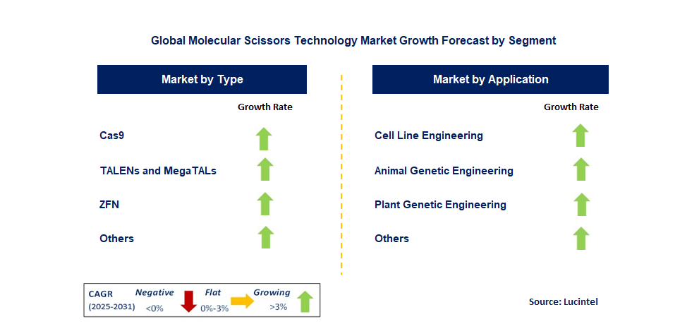 Molecular Scissors Technology Market by Segment