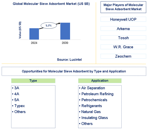 Molecular Sieve Adsorbent Market Trends and Forecast