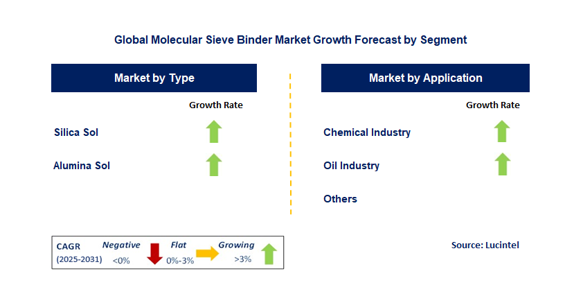 Molecular Sieve Binder Market by Segment