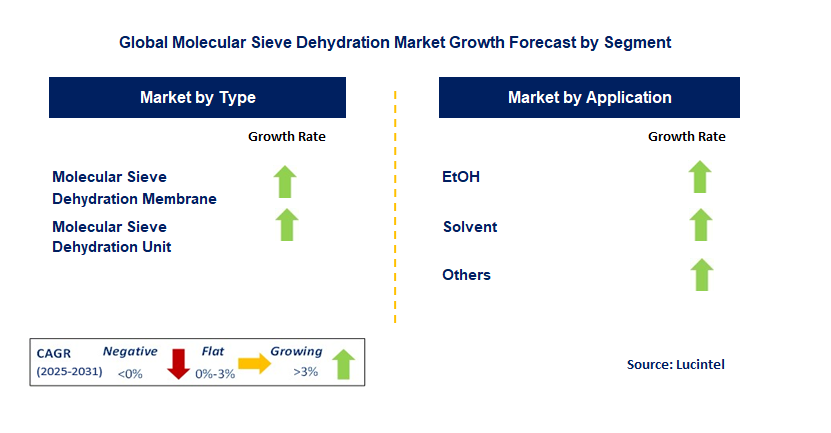 Molecular Sieve Dehydration Market by Segment