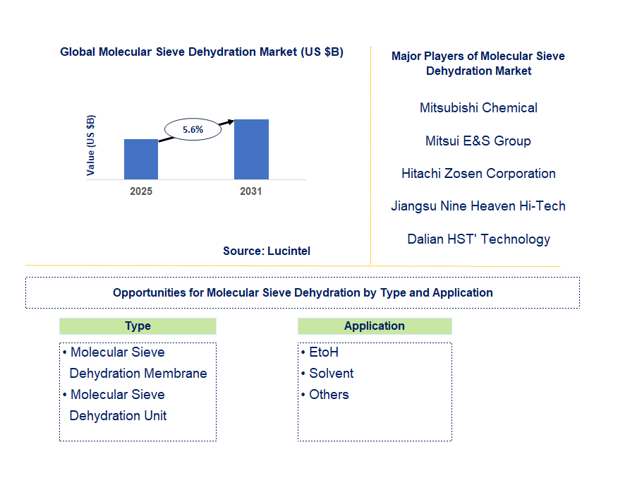 Molecular Sieve Dehydration Market Trends and Forecast