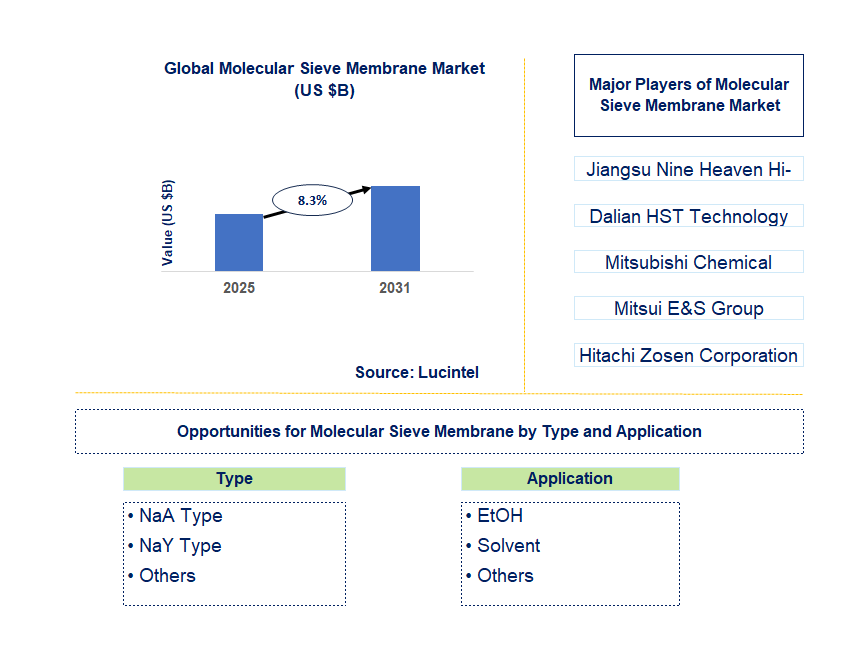 Molecular Sieve Membrane Market Trends and Forecast