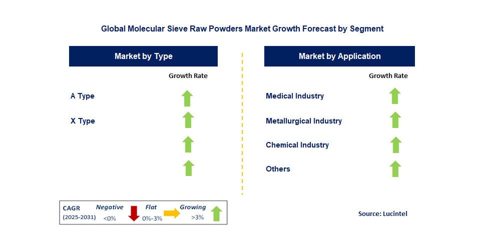 Molecular Sieve Raw Powders Market by Segment