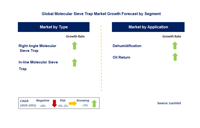 Molecular Sieve Trap Market by Segment