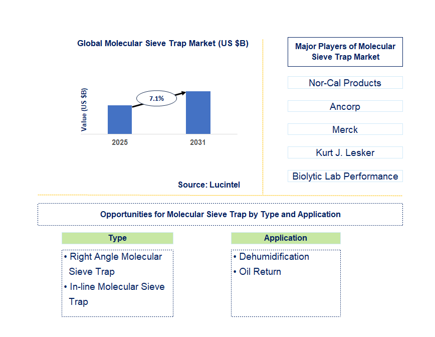 Molecular Sieve Trap Market Trends and Forecast