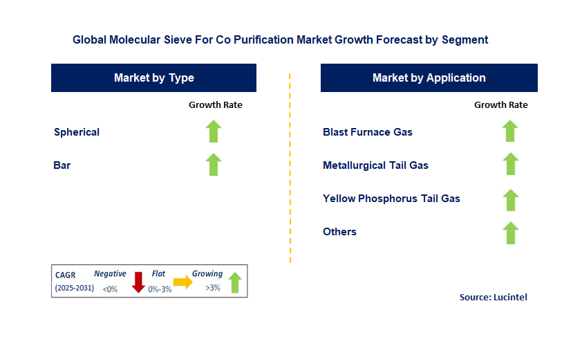 Molecular Sieve For Co Purification Market by Segment