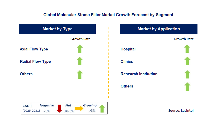 Molecular Stoma Filter Market by Segment