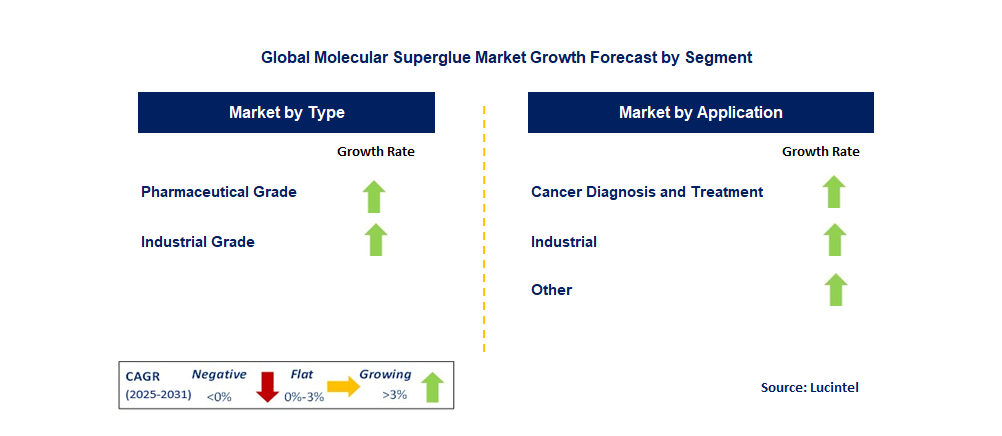 Molecular Superglue Market by Segment
