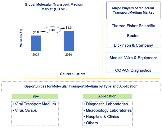 Molecular Transport Medium Market Trends and Forecast
