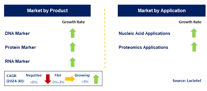 Molecular Weight Marker by Segment