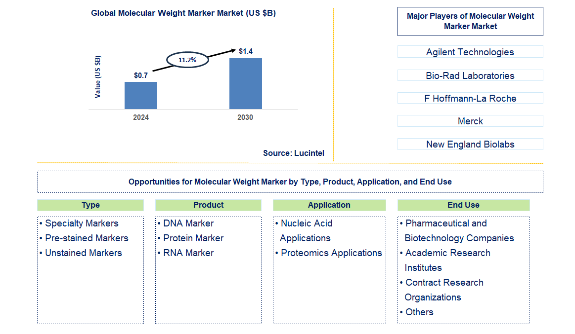 Molecular Weight Marker Trends and Forecast