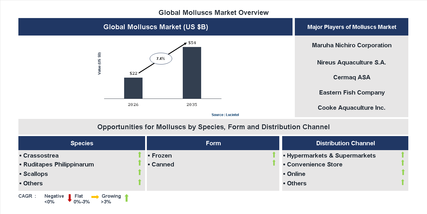 Molluscs Market Trends and Forecast