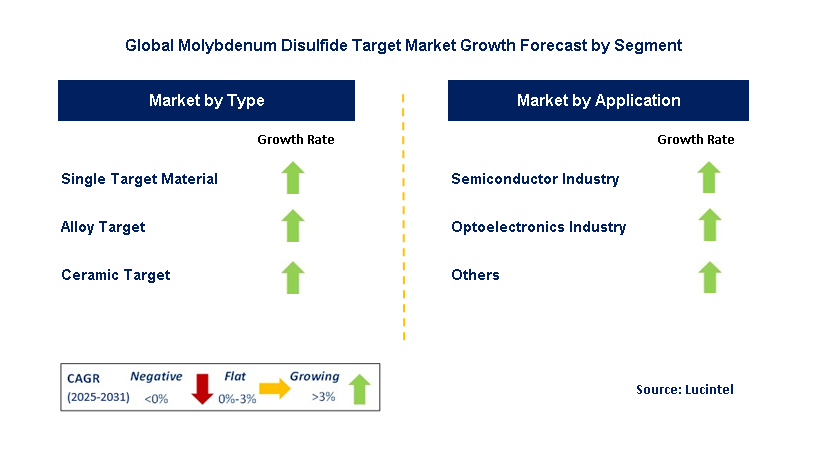 Molybdenum Disulfide Target Market by Segment