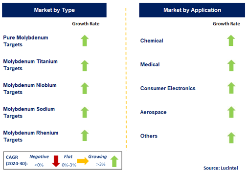 Molybdenum Round Target Market by Segment