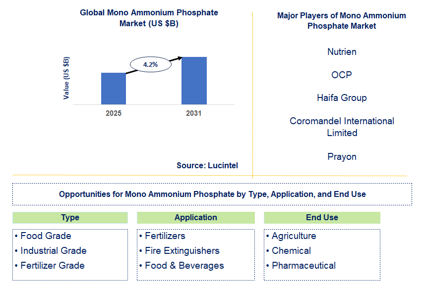 Mono Ammonium Phosphate Market Trends and Forecast