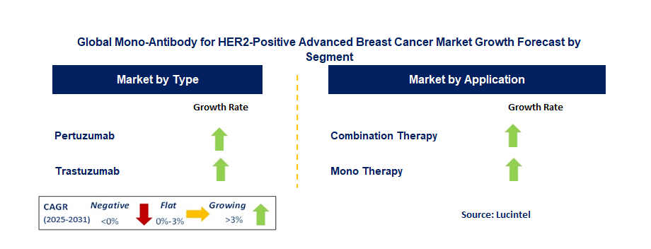 Mono-Antibody for Her2-Positive Advanced Breast Cancer Market by Segment