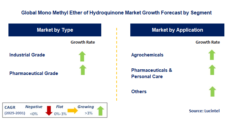 Mono Methyl Ether of Hydroquinone Market by Segment