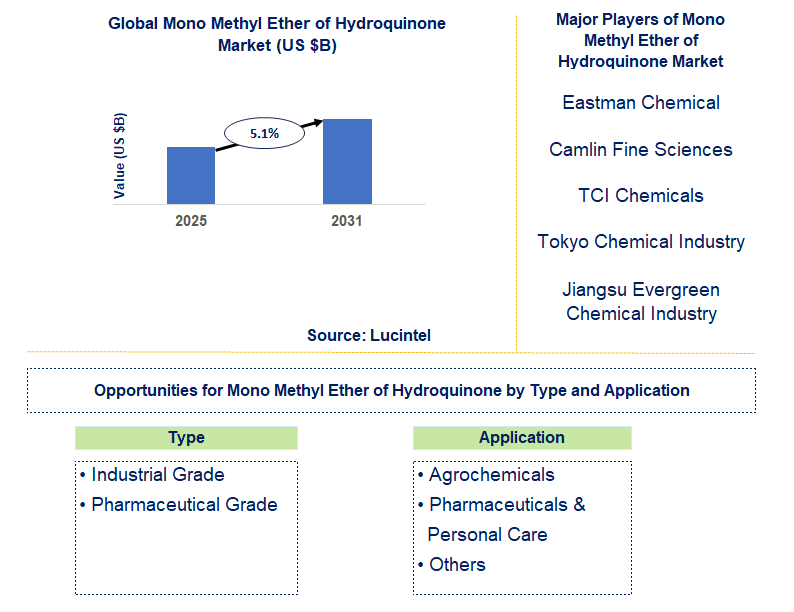 Mono Methyl Ether of Hydroquinone Market Trends and Forecast