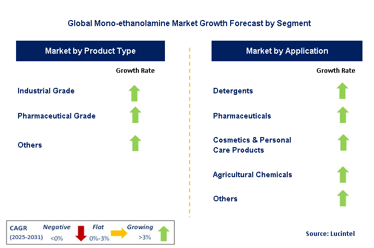 Mono-ethanolamine Market by Segment