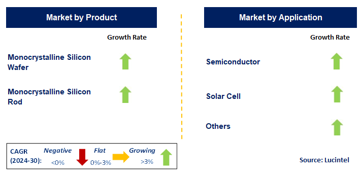 Monocrystalline Silicon by Segment