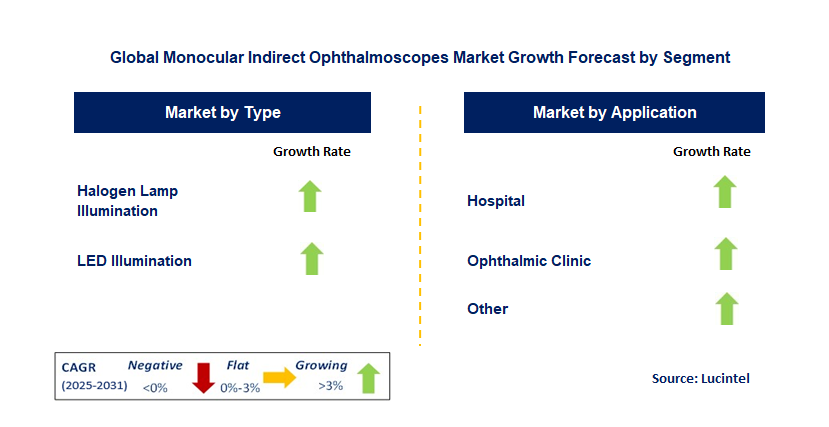 Monocular Indirect Ophthalmoscope Market by Segment