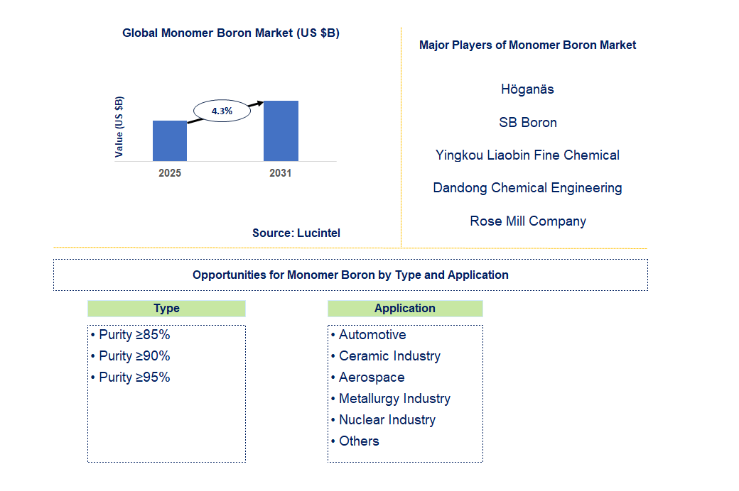 Monomer Boron Market Trends and Forecast
