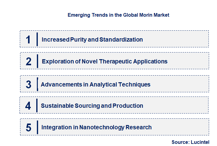 Emerging Trends in the Morin Market