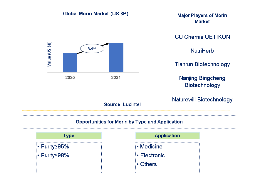 Morin Market Trends and Forecast