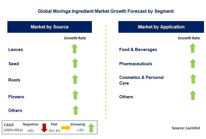 Moringa Ingredient Market by Segment