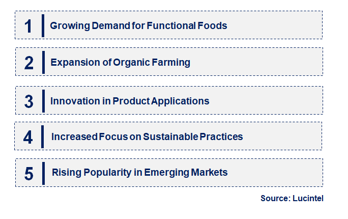 Emerging Trends in the Moringa Seeds Market