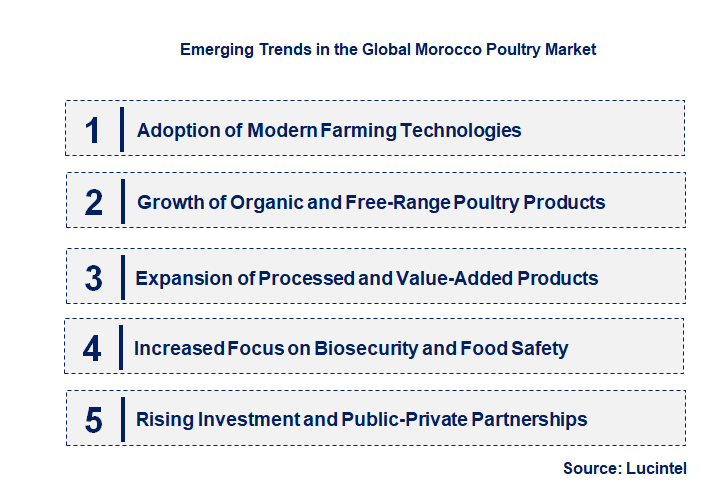 Emerging Trends in the Morocco Poultry Market