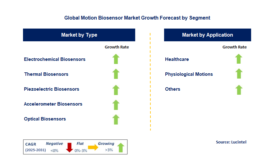 Motion Biosensor Market by Segment