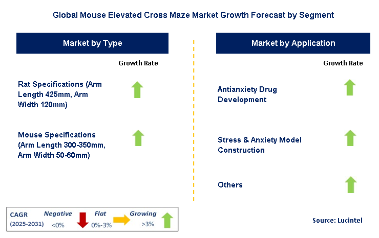 Mouse Elevated Cross Maze Market by Segment