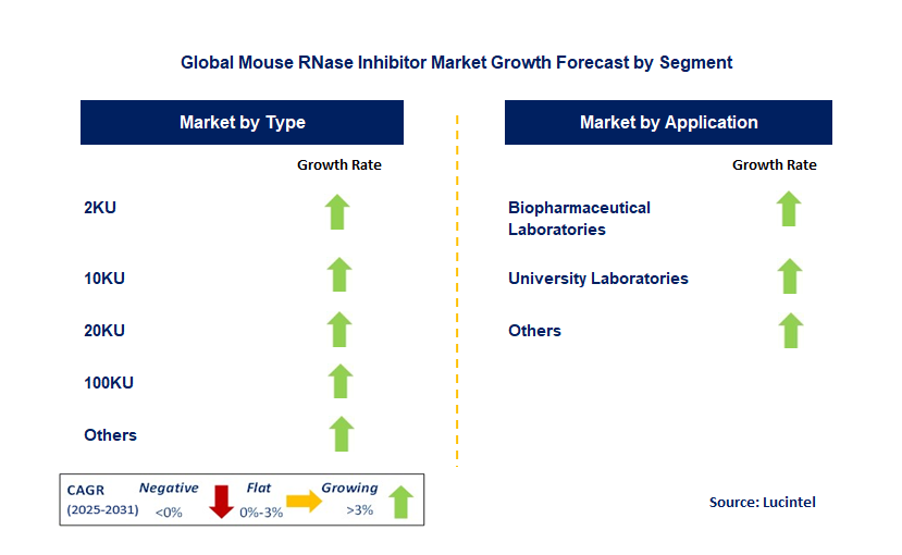 Mouse RNase Inhibitor Market by Segment