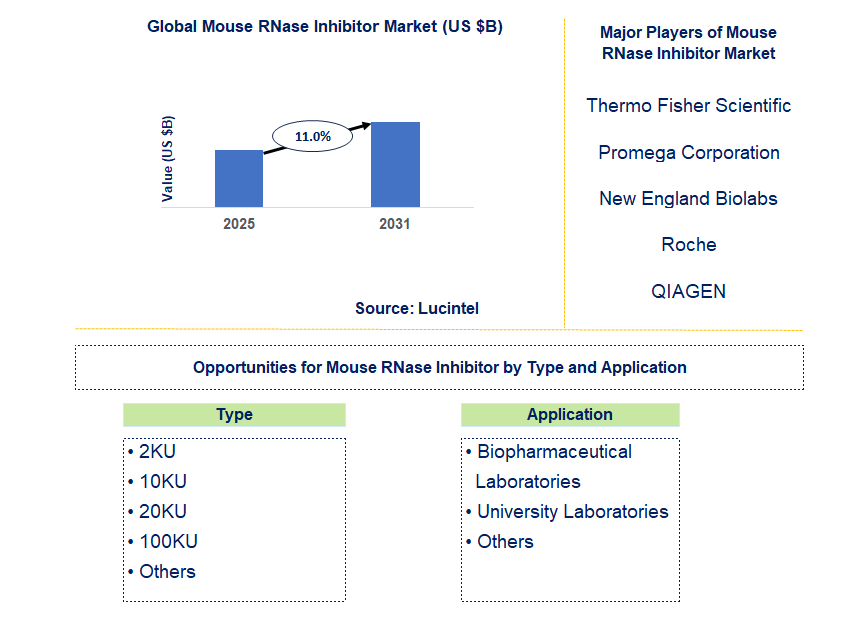 Mouse RNase Inhibitor Market Trends and Forecast