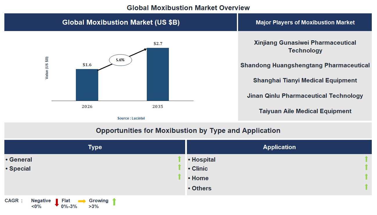 Moxibustion Market Trends and Forecast