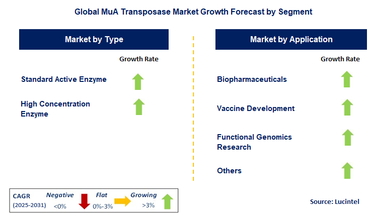 MuA Transposase Market by Segment