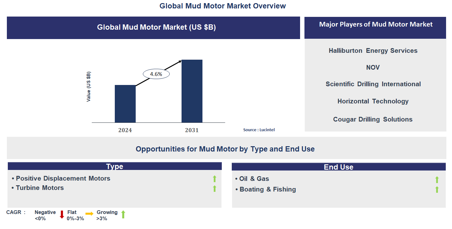 Mud Motor Market Trends and Forecast