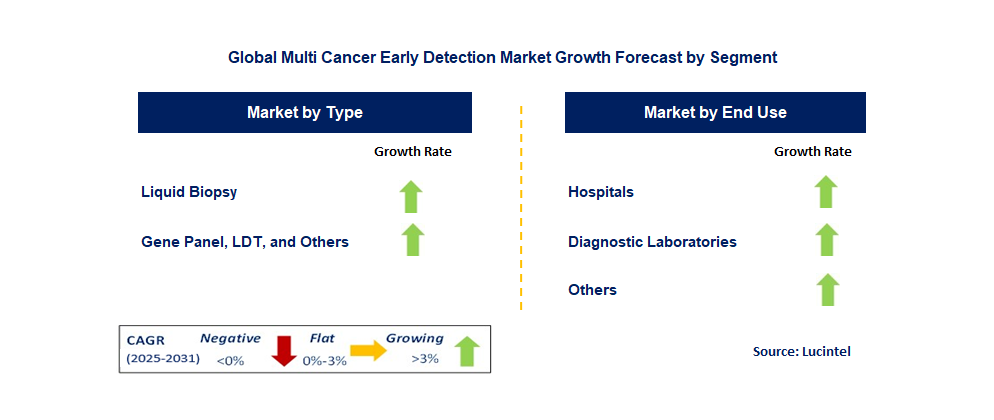Multi Cancer Early Detection Market by Segment