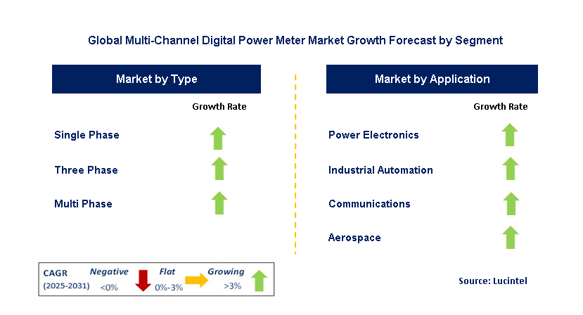 Multi-Channel Digital Power Meter Market by Segment