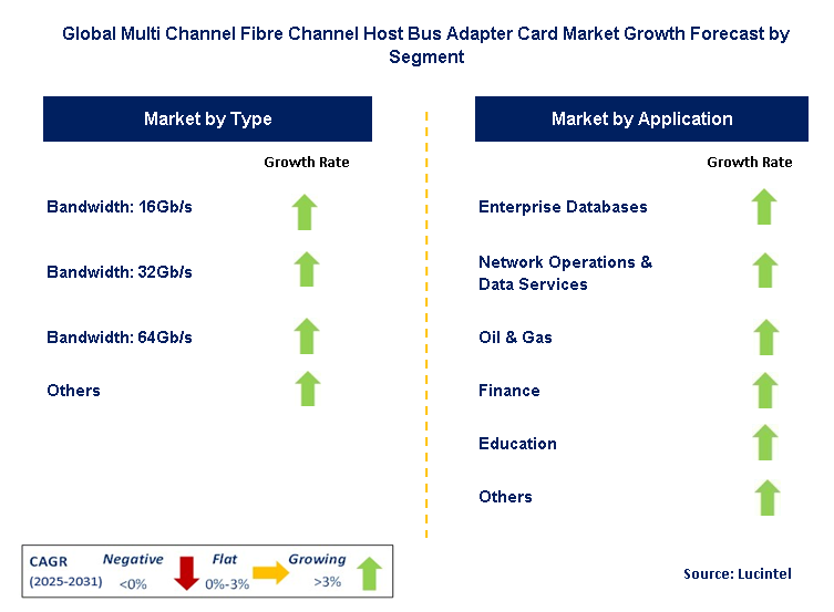Multi Channel Fibre Channel Host Bus Adapter Card Market by Segment