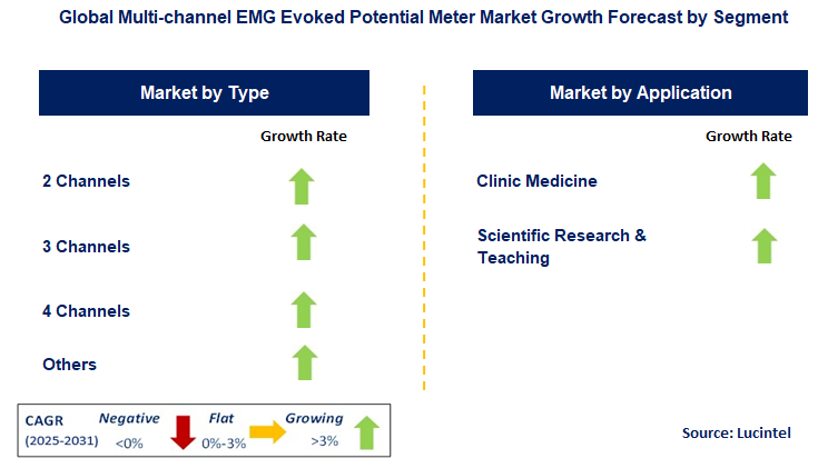 Multi-channel EMG Evoked Potential Meter Market by Segment