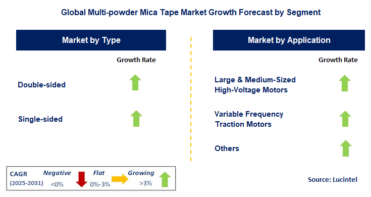 Multi-powder Mica Tape Market by Segment