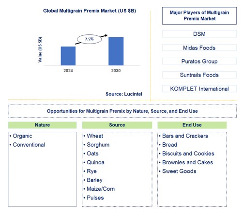 Multigrain Premix Trends and Forecast