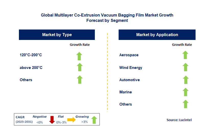 Multilayer Co-Extrusion Vacuum Bagging Film Market by Segment