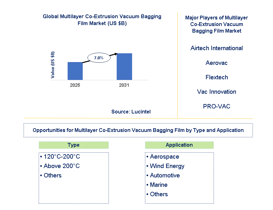 Multilayer Co-Extrusion Vacuum Bagging Film Market Trends and Forecast